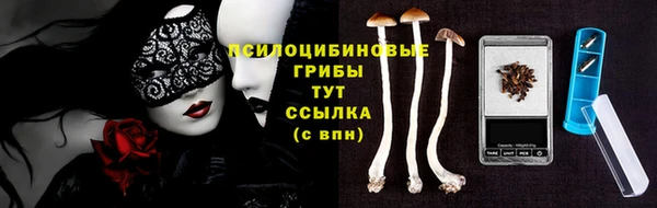 бошки Магас