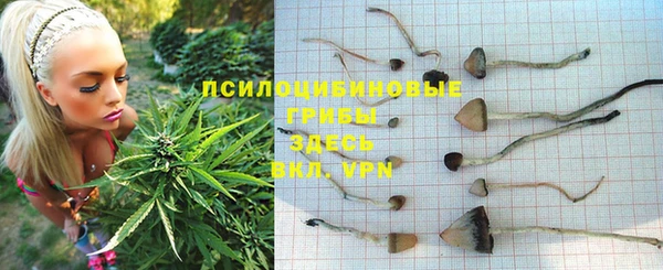 бошки Магас