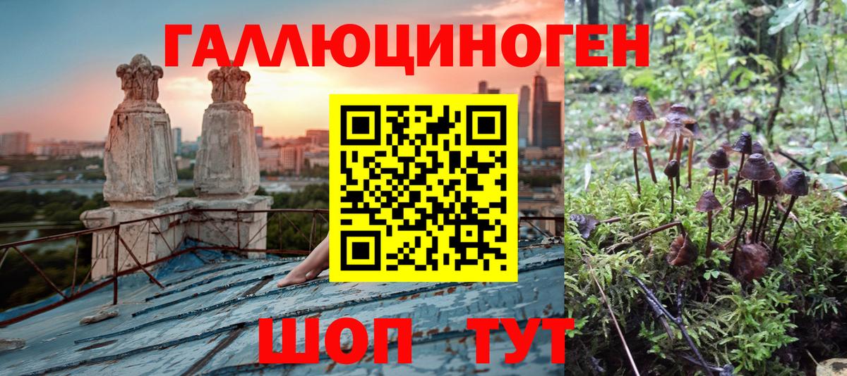 Мытищи  Псилоцибиновые грибы мухоморы  Вход с VPN 